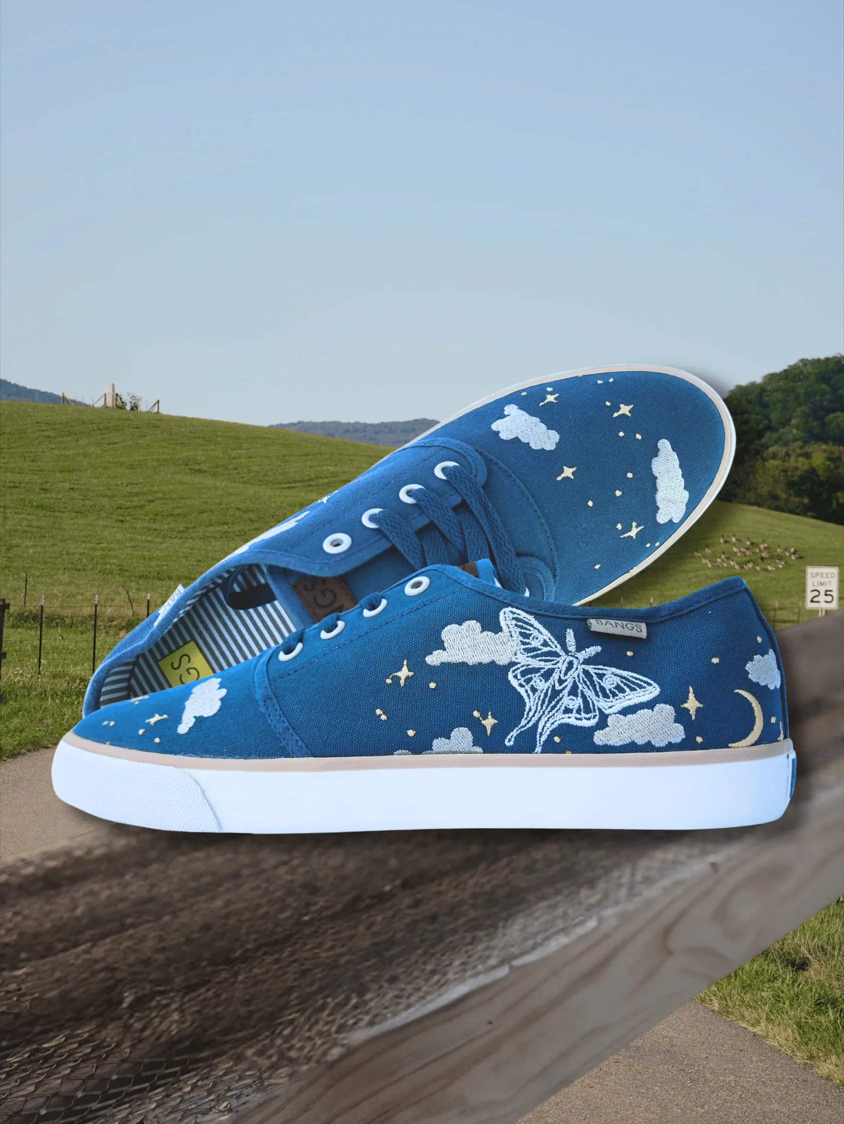 Enchanted Skylight Low Top