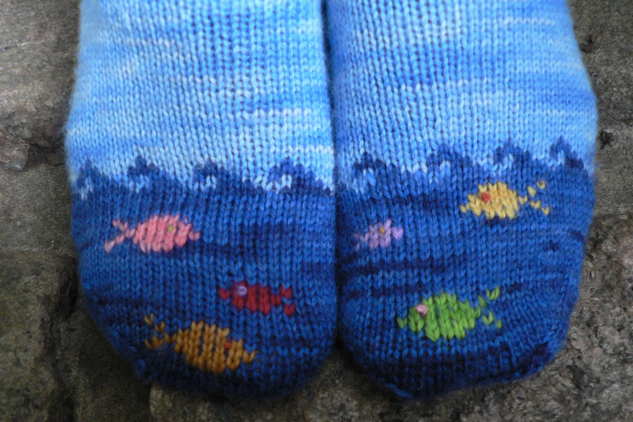 Fish in the Sea Sock Knitting Kit