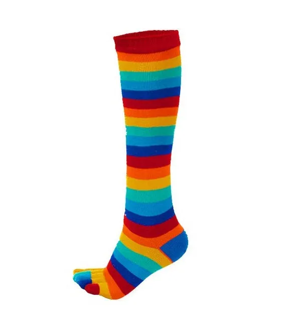 Rainbow Knee High Socks (Toe Socks)