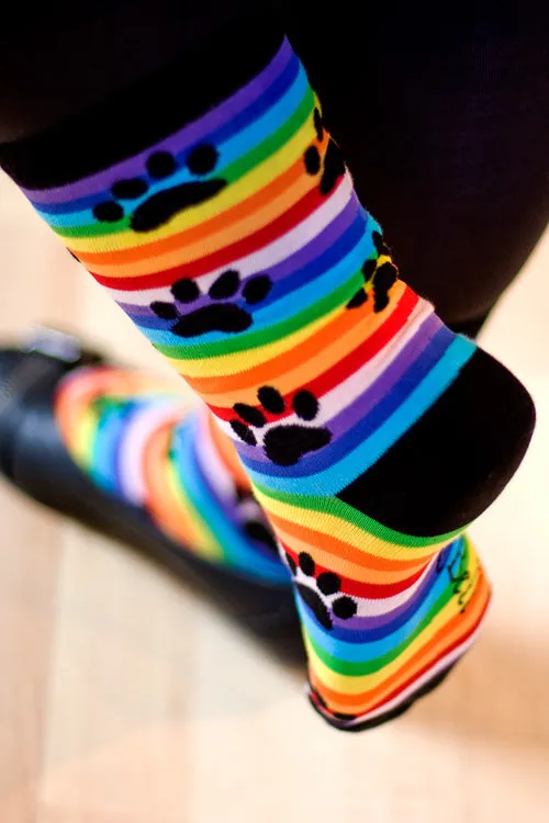 Rainbow Stripe Paw Print Crew